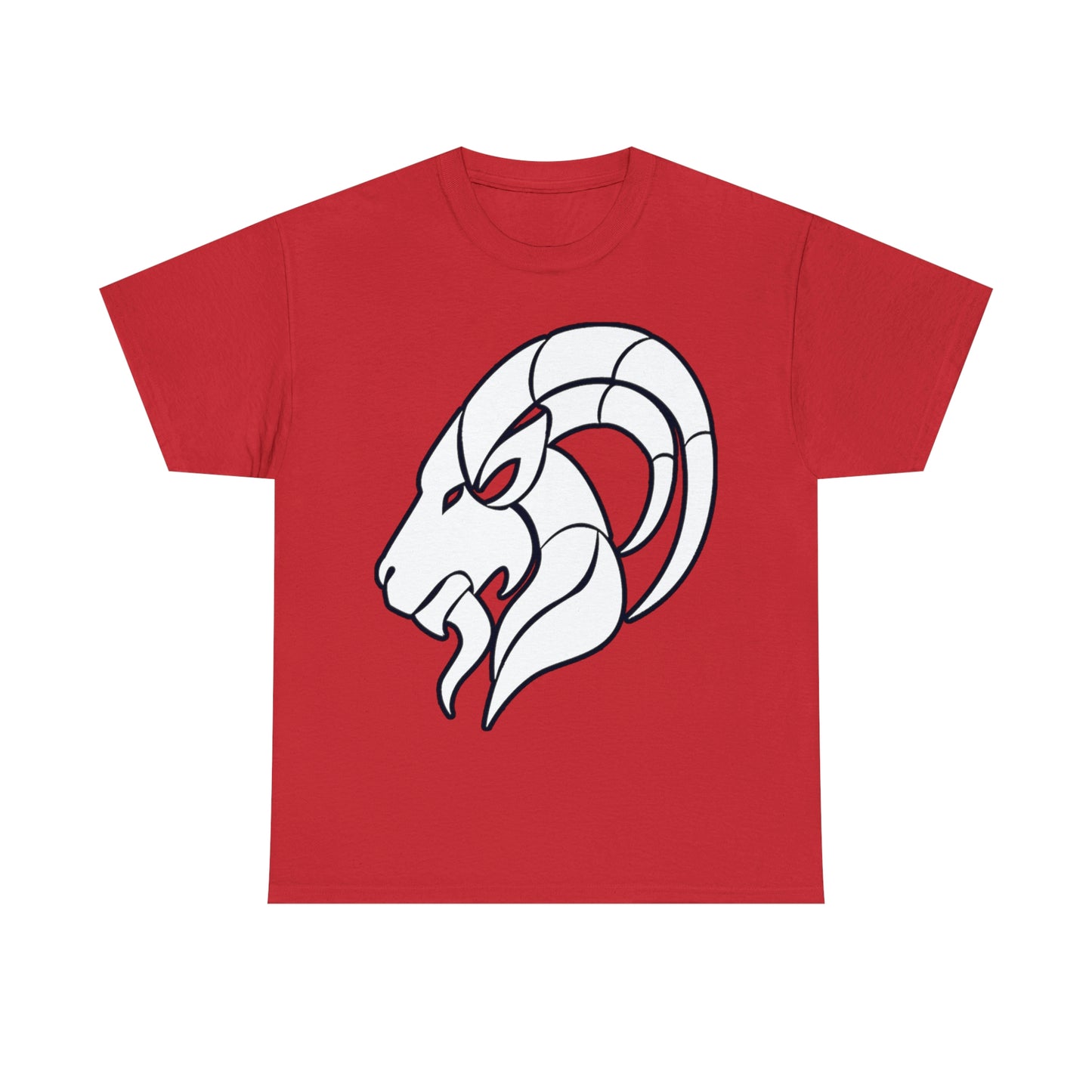 Capricorn Shirt Up to 5X