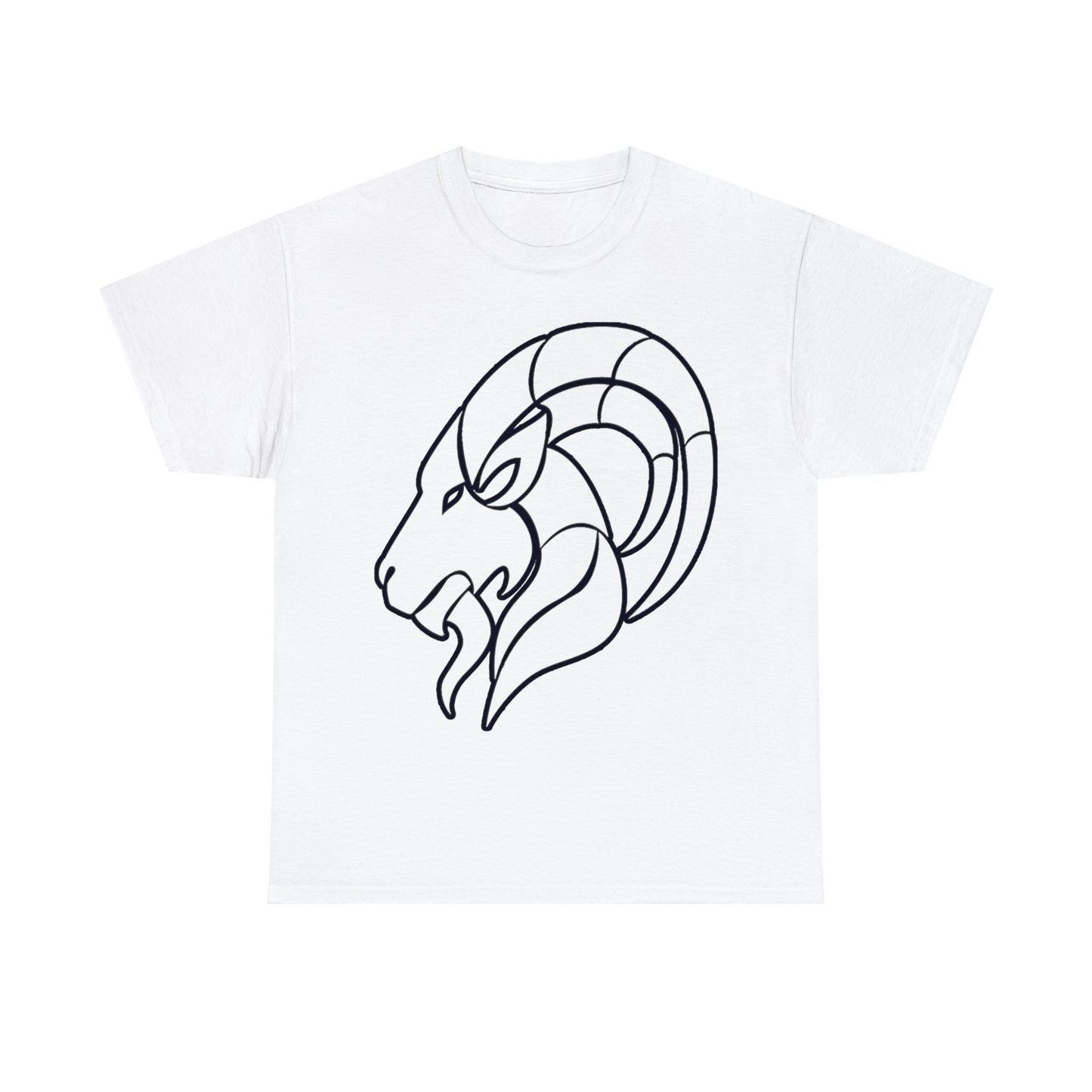 Capricorn Shirt Up to 5X